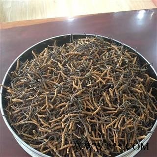 冬虫夏草  4000条精选  青海玉树   【专业批发 品种齐全】图2