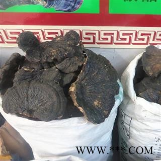野生薄树芝特大 (直径15公分以上)黑块灵芝 产地直销图2
