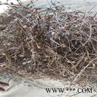 白花蛇舌草 白花蛇舌草  野生 统货 产地 江西省萍乡市图2