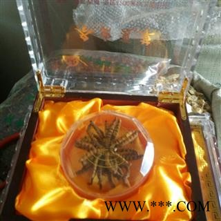 冬虫夏草 保证正品 3200条 假一赔十 春节送礼最好的选择，图3