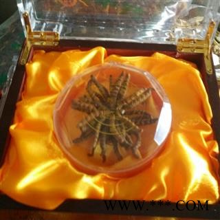 冬虫夏草 保证正品 3200条 假一赔十 春节送礼最好的选择，图2