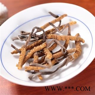虫草 藏虫草精选3000条 产地 西藏自治区 经营各种规格中药材 可代加工粗细粉 双鹏图3
