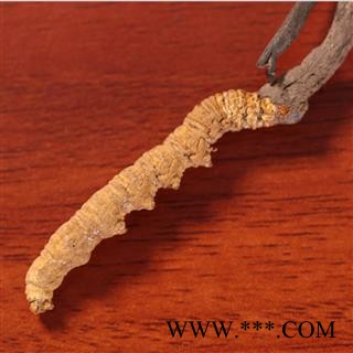 虫草 藏虫草精选3000条 产地 西藏自治区 经营各种规格中药材 可代加工粗细粉 双鹏图2