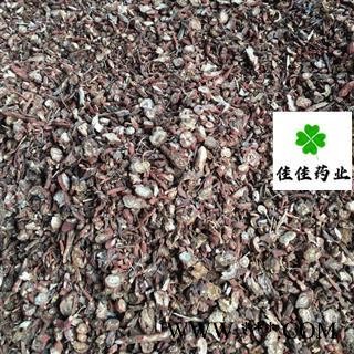 丹参 大统货 甘肃丹参 产地直销 量大从优 供应各种中药材 产地 甘肃省图4