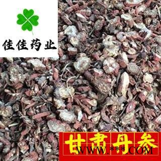 丹参 大统货 甘肃丹参 产地直销 量大从优 供应各种中药材 产地 甘肃省图3