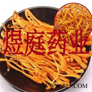 煜庭药业 虫草花 虫草 金虫草 金虫草花 北冬虫草图2