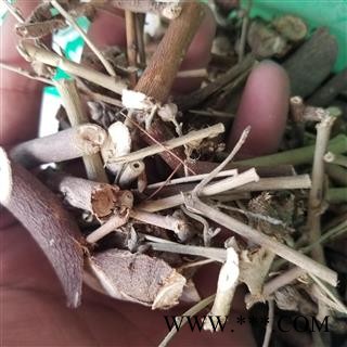 瑞森药材行硬枝梅肉草 枚肉草 皮肉草 虱恐头 小号虱母头仔 黄花虱母头图4