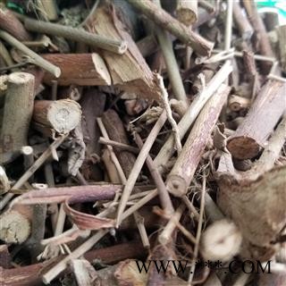 瑞森药材行硬枝梅肉草 枚肉草 皮肉草 虱恐头 小号虱母头仔 黄花虱母头图2