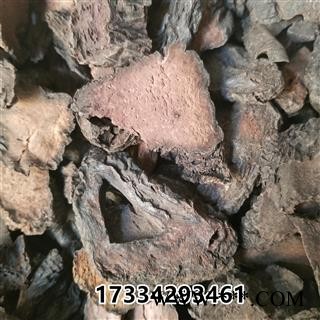 肉苁蓉硬，管花肉苁蓉大芸 大芸 大云咸大芸 沙漠人参图4