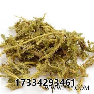 伸筋草 中草药材 舒筋草 狮子尾 伸筋藤图2