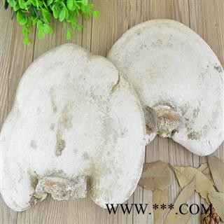煜庭药业 苦白蹄 纯天然白灵芝 玉芝、阿里红、落叶松茸、药用层孔菌图4