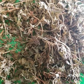 海金沙草 金沙藤 铁线藤 产地四川图3