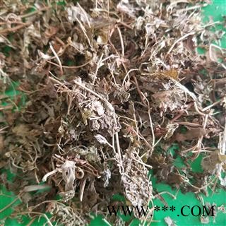 海金沙草 金沙藤 铁线藤 产地四川图2