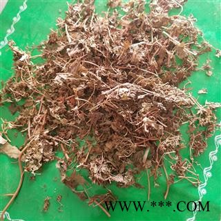 海金沙草 金沙藤 铁线藤 产地四川图1