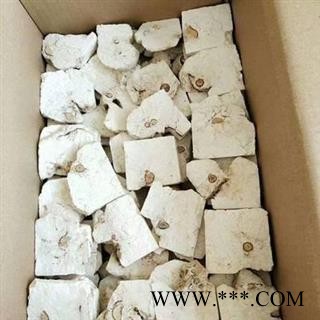 茯神 精品小块全神 精选茯神 产地 安徽省 买好药找娟子 专业批发图4