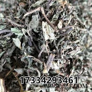 旱莲草 鳢肠 老鼠痣 墨旱莲 中药材供应图2