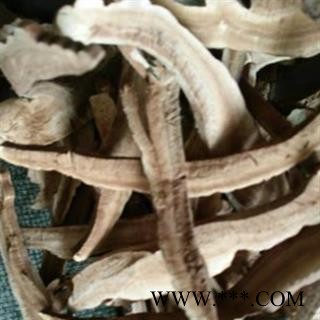 灵芝 山东家种长片统片 产地 山东省图2