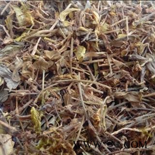 中药材 金丝草 黄毛草 笔子草 猫尾草 笔尾草 金丝茅 笔仔草图2