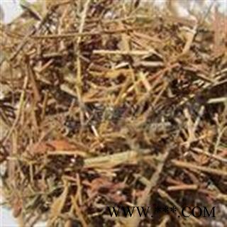 中药材 金丝草 黄毛草 笔子草 猫尾草 笔尾草 金丝茅 笔仔草图3