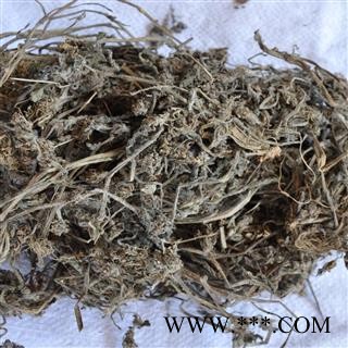 圣草康园中药材 白毛夏枯草 筋骨草图2