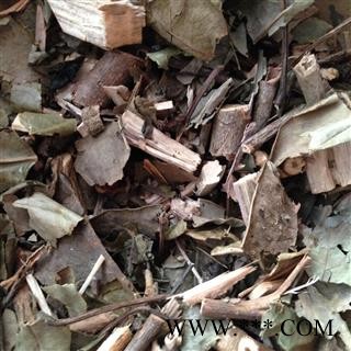 圣草康园牛耳枫 铃猪肚猪肚果、 猪肚木、猪洛木、猪络木、猪仔木图1