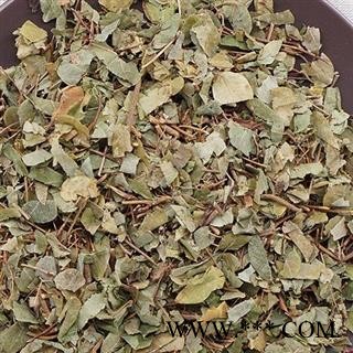 圣草康园草红藤 草红藤叶黄花马豆 铁马豆 疆蛇通 蝴蝶草图2