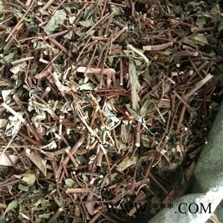 圣草康园山甘草 玉叶金花 野白纸扇图2