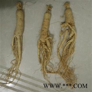 人参 生晒参45支 产地 吉林省图2