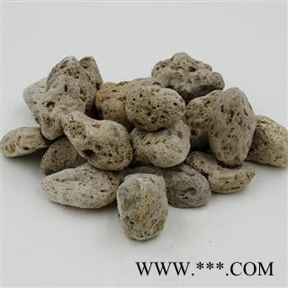 圣草康园浮石 小海浮石 海藻 海藻石 统图3