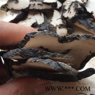 圣草康园猪苓 猪苓片 产地 黑龙江省双鸭山市图2