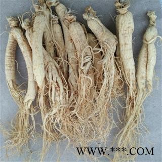 人参 生晒参 20支500克 产地 吉林省下单后联系卖家修改运费图2