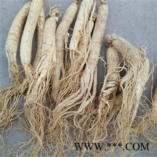 人参 生晒参 20支500克 产地 吉林省下单后联系卖家修改运费图3