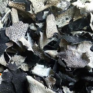 圣草康园石耳云南石耳 岩菇图2