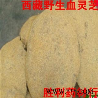 圣草康园  中药材雪灵芝  西藏雪灵芝图2