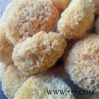 银耳 白木耳 银耳干货糯丑耳无硫新鲜雪耳莲子羹材料图2