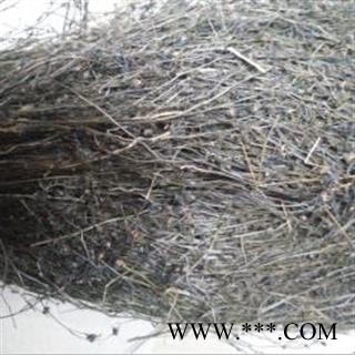 九盛堂 中药材 茅膏菜  落地珍珠草 陈伤子草 地下明珠草 石龙芽草、山胡椒、胡椒草、夏无踪、白花叶、黄金丝、滴水不干图2