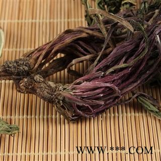 新蒲公英茶 蒲公英蒲公英图3