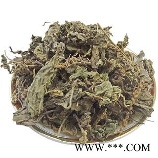 车前草 中药材 车轮菜  五更草 田灌草图4