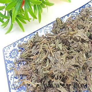 车前草 中药材 车轮菜  五更草 田灌草图2