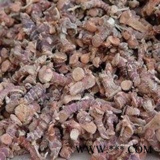 高良姜个 高良姜统个 产地 广西壮族自治区图3