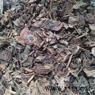 鱼腥草 纯野生鱼腥草统段产地直销保证含量有大货 产地 四川省成都市市辖区图4