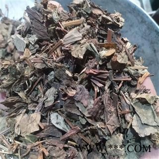 鱼腥草 纯野生鱼腥草统段产地直销保证含量有大货 产地 四川省成都市市辖区图3