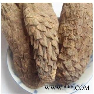 肉苁蓉 选装硬大芸个 产地 新疆维吾尔自治区图2