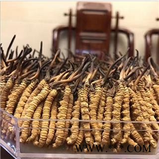 冬虫夏草 藏虫草精选2000条 产地 西藏自治区图2