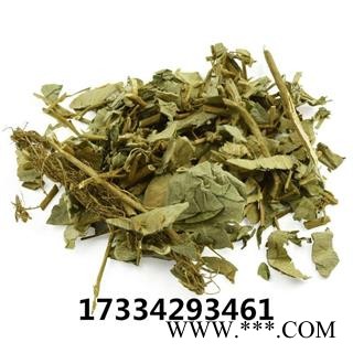 金钱草 大叶金钱草  地蜈蚣 中药材 广金钱草图3