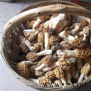 羊肚菌 秦岭优质羊肚菌 羊肚蘑 手工采摘 日晒干燥50g图3