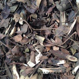 瑞森药材行猴耳环  新货实物拍照三角青 神仙草 云围诞树 婆劈树 鸡心树 三不正图3