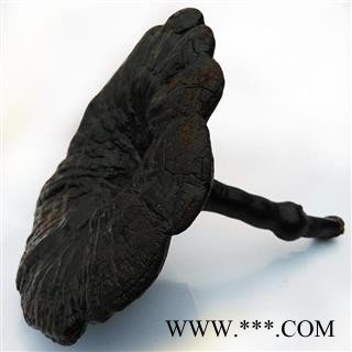 野生灵芝片灵芝个子图3