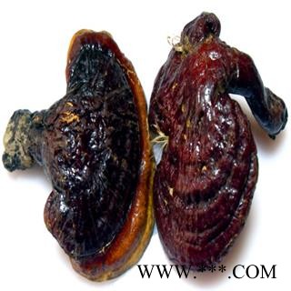 灵芝 精选 红灵芝  产地 吉林省白山市长白朝鲜族自治县图3