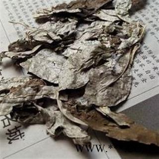 圣草康园 金耳环  产地 广西图2